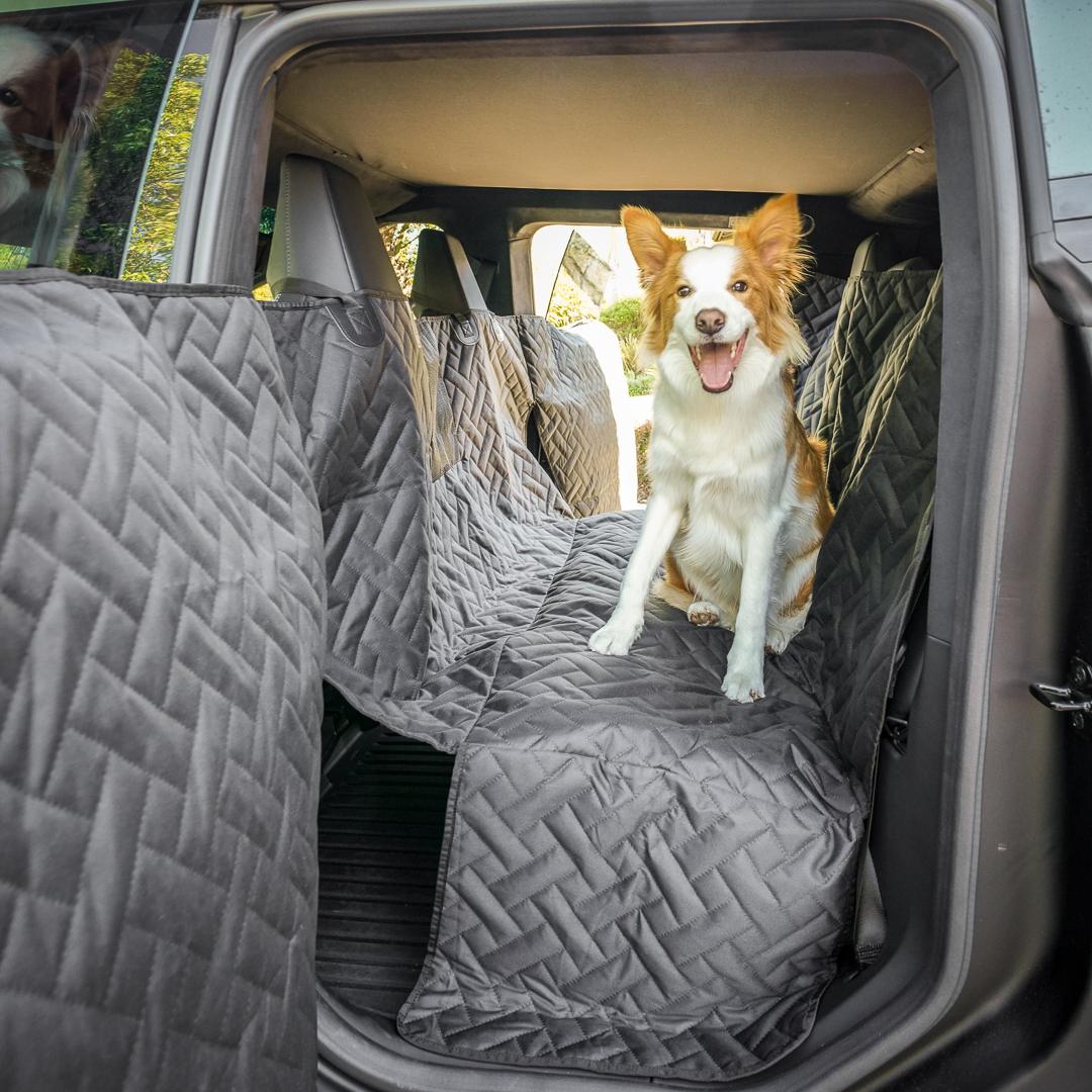 Tesla Model 2 Introducing the MARSACCS Cybertruck Pet Cover for Dogs & Pets – Share Your Thoughts! 1