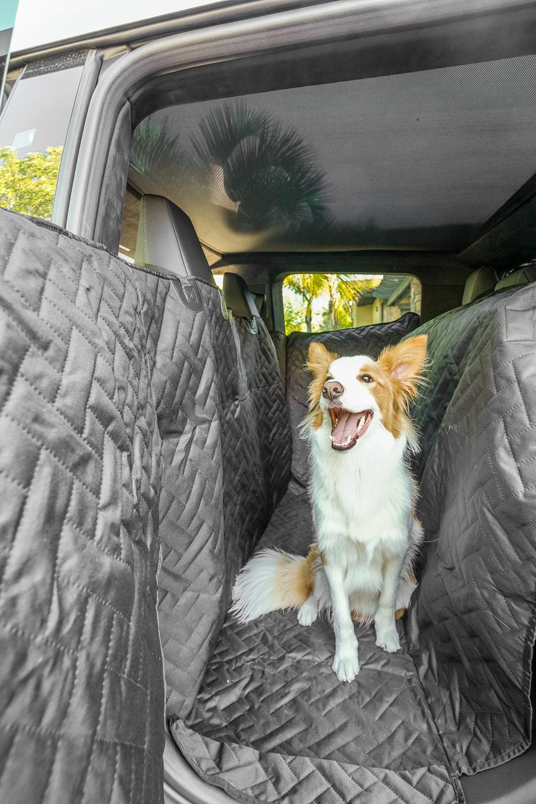 Tesla Model 2 Introducing the MARSACCS Cybertruck Pet Cover for Dogs & Pets – Share Your Thoughts! 3