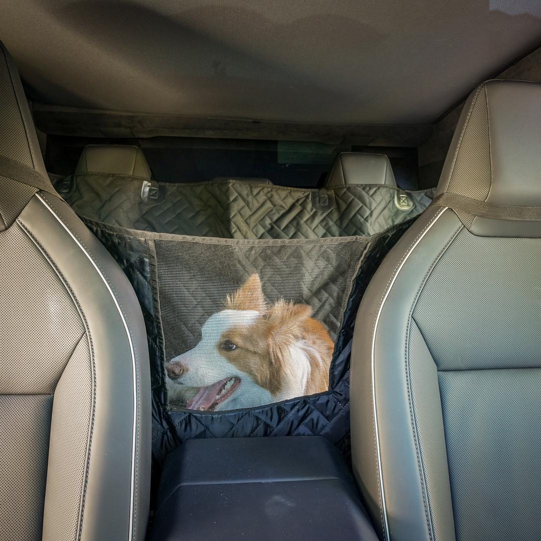 Tesla Model 2 Introducing the MARSACCS Cybertruck Pet Cover for Dogs & Pets – Share Your Thoughts! 5