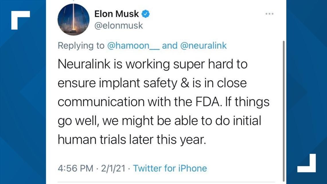 Tesla Model 2 Elon Musk says Neuralink could start human trials by the end of the year b2055f6a-43fe-4a48-a003-e1f6e67138b5_1140x641