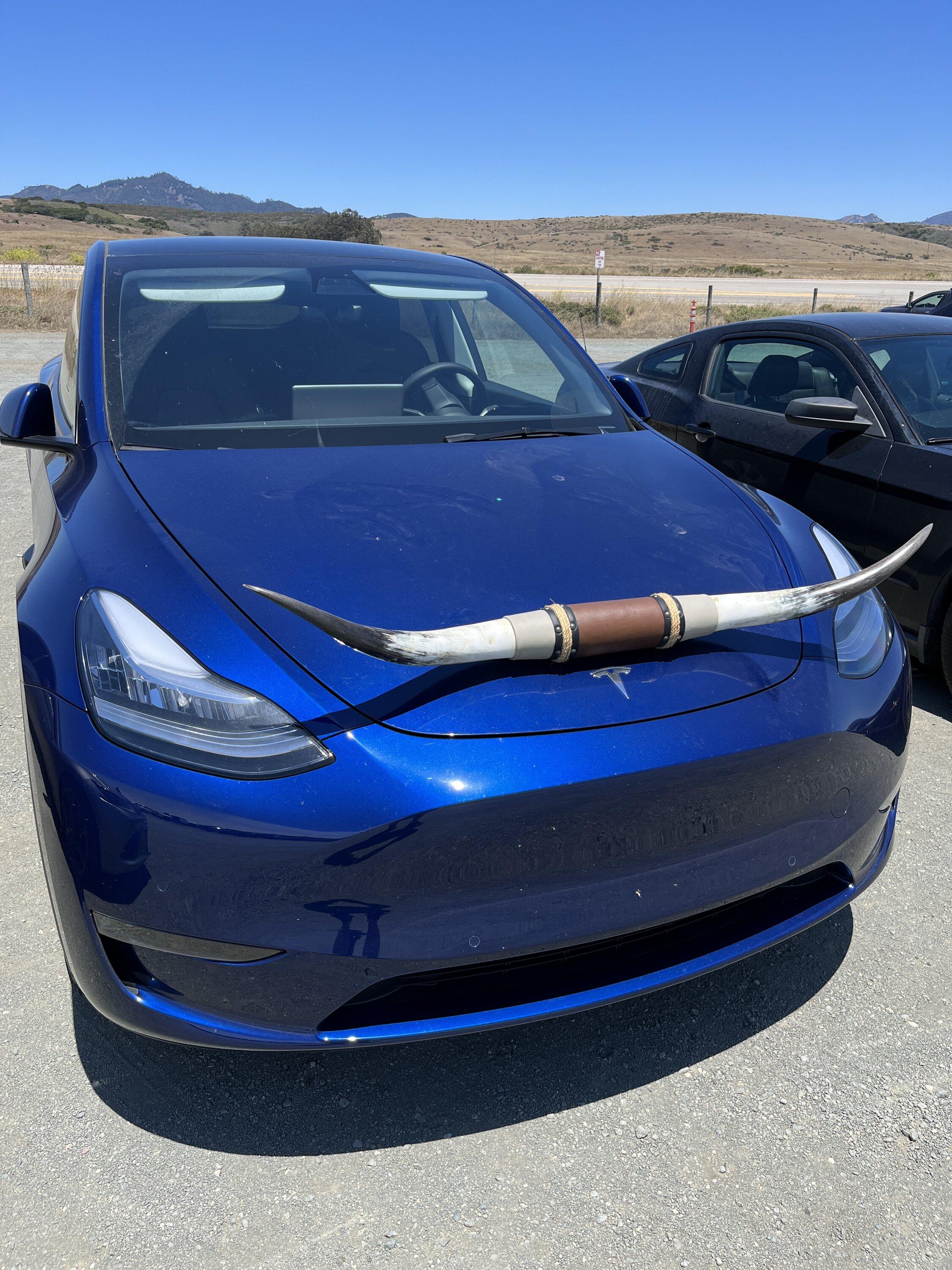 Tesla Model 2 Austin Model Y ("Longhorn" edition?) spotted in California, Central Coast area IMG_3202.JPG