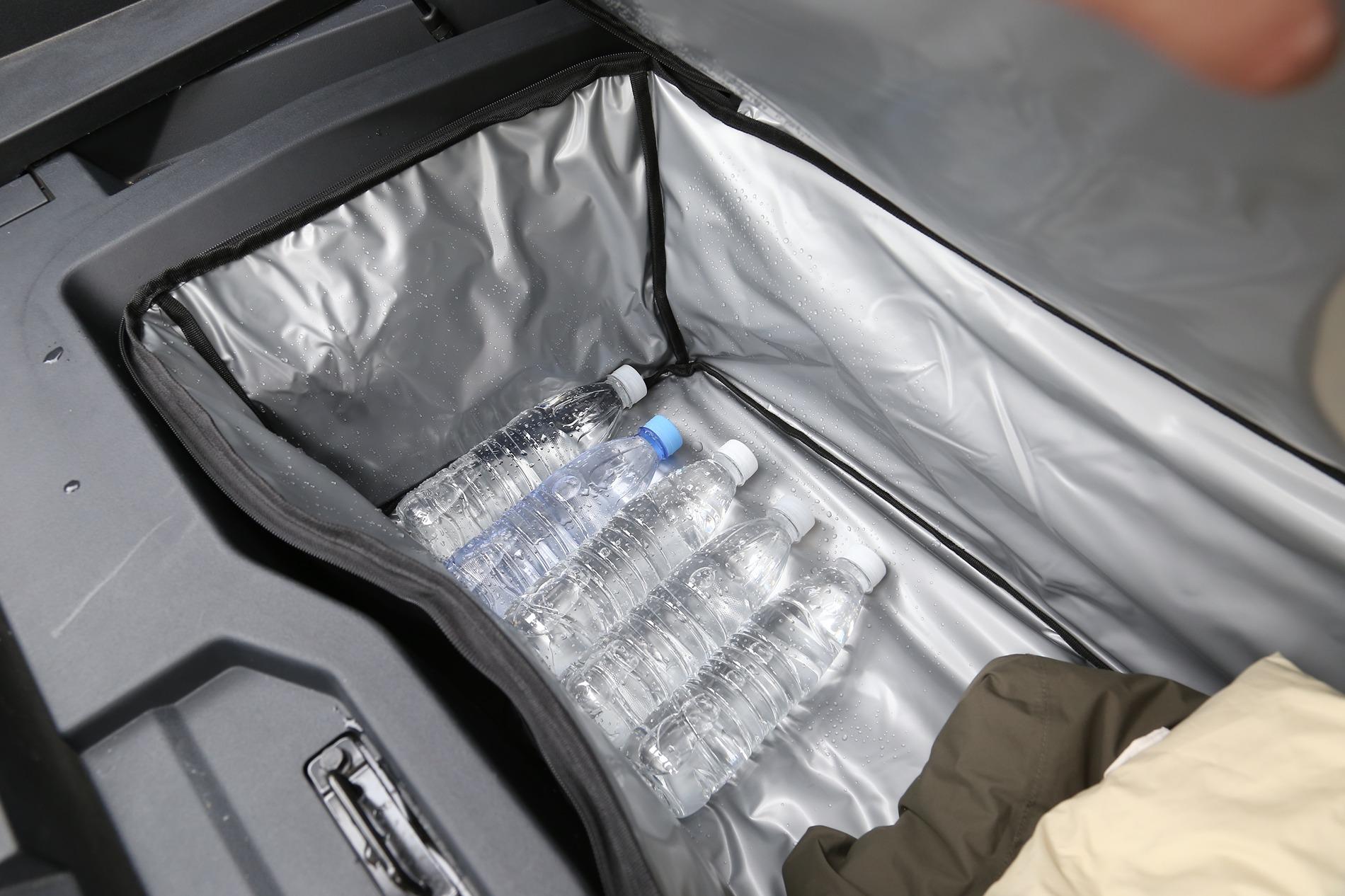 Tesla Model 2 Amazon Prime Day Shopping Guide Four: Storage, Cooler Bag, Protective Cover IMG_5131.JPG