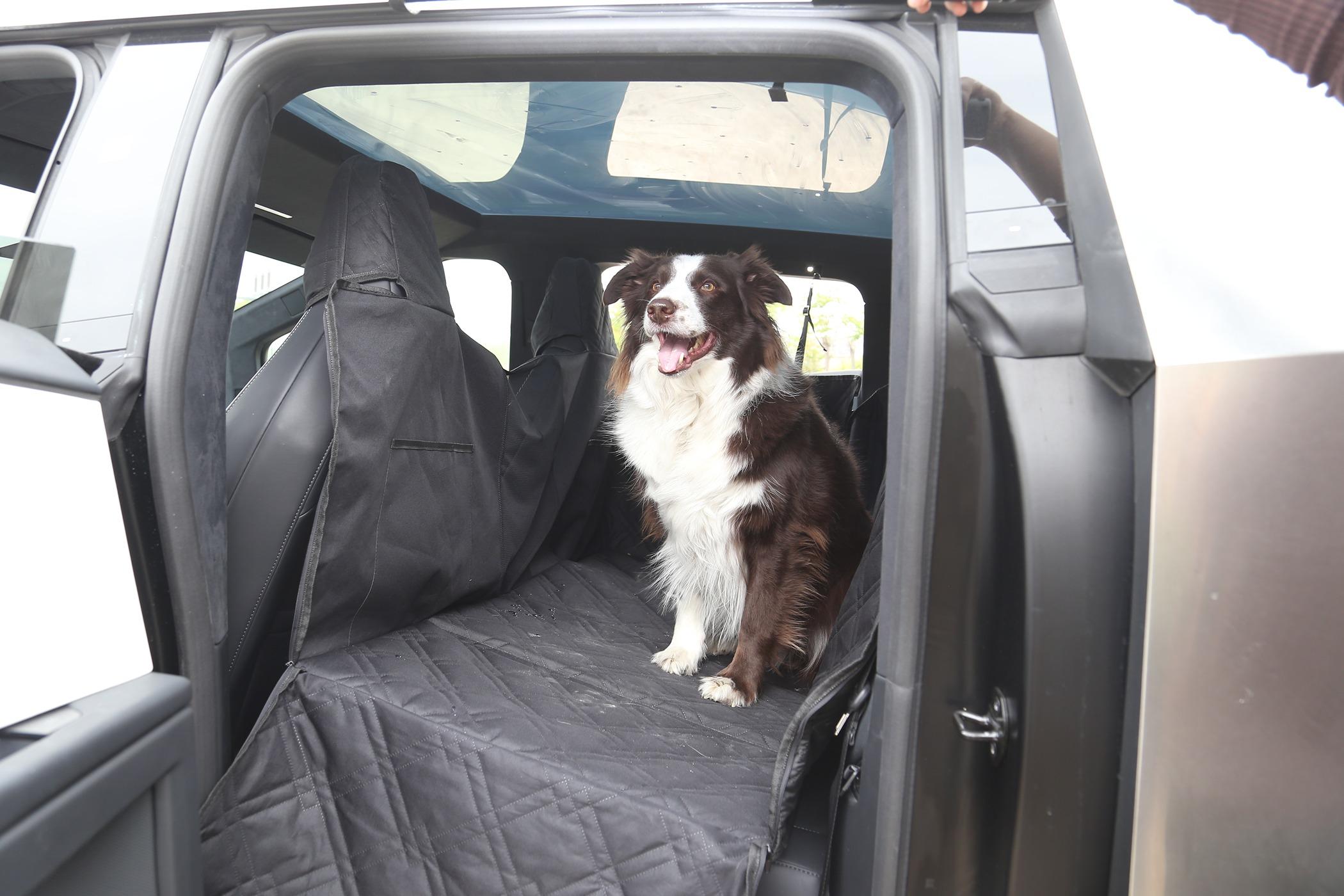 Tesla Model 2 ELECFRESH | Product Testing | Cybertruck Backseat Pet Cover Solution IMG_5357.JPG